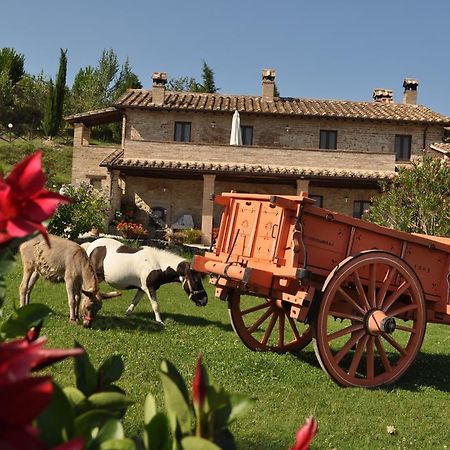 Farm Stay Il Carro Del Colle コッレヴァレンツァ エクステリア 写真