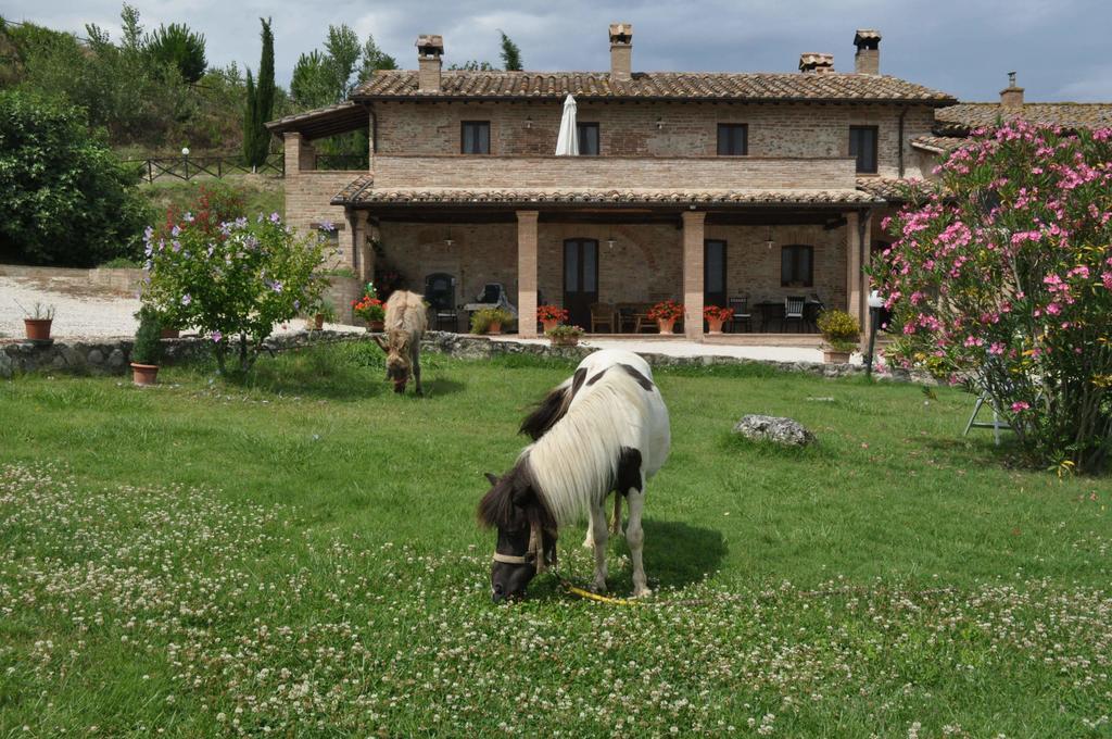 Farm Stay Il Carro Del Colle コッレヴァレンツァ エクステリア 写真