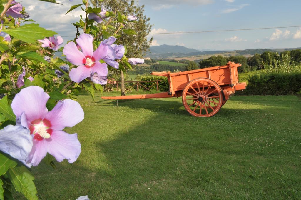Farm Stay Il Carro Del Colle コッレヴァレンツァ エクステリア 写真