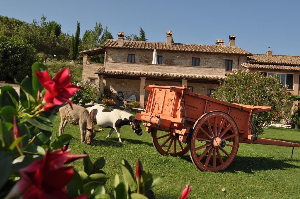 Farm Stay Il Carro Del Colle コッレヴァレンツァ エクステリア 写真